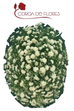BSB 01
